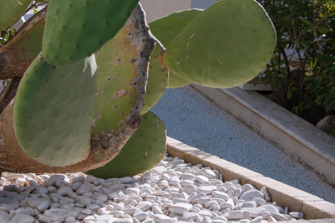 Casa Vacanze Ibiscus Alcamo Marina Exterior foto